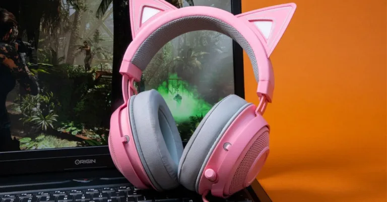 cats ears for headphones